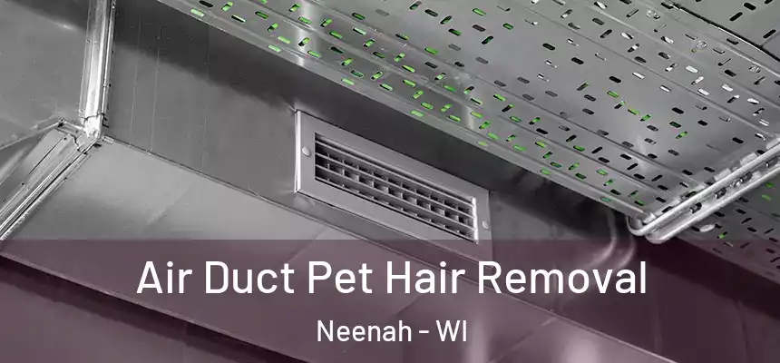 Air Duct Pet Hair Removal Neenah - WI
