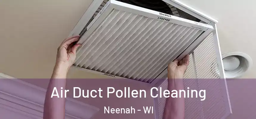 Air Duct Pollen Cleaning Neenah - WI
