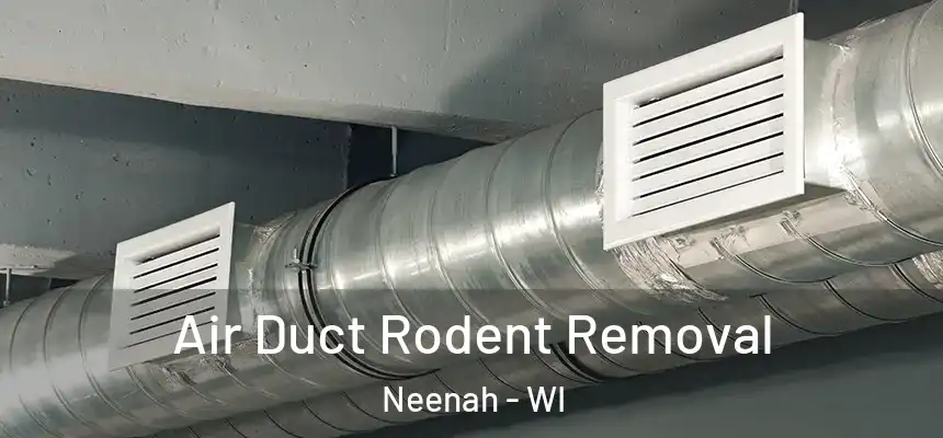  Air Duct Rodent Removal Neenah - WI