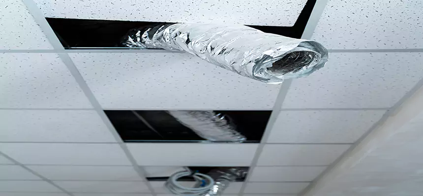 Affordable HVAC Sanitizing After Pest Removal in Neenah