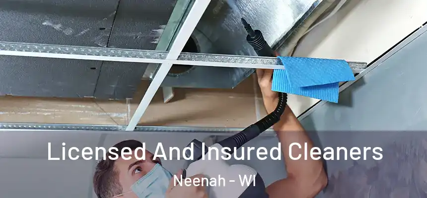  Licensed And Insured Cleaners Neenah - WI