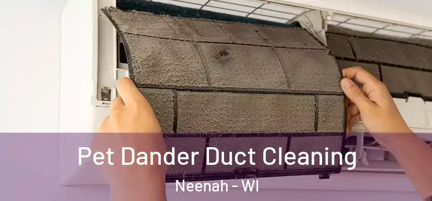 Pet Dander Duct Cleaning Neenah - WI