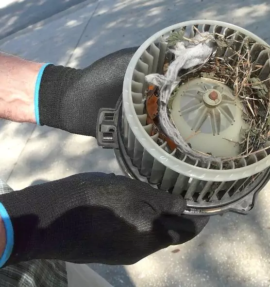 About Air Duct Mice Removal in Neenah, WI