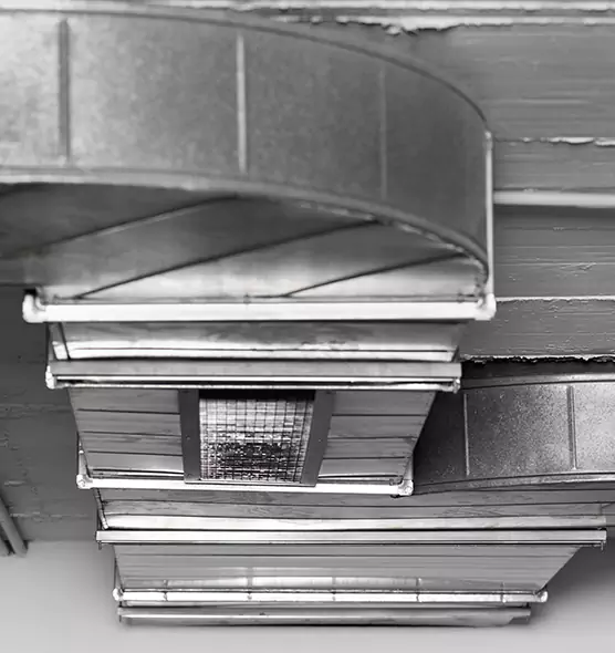 Professional Air Duct Pest Removal in Neenah, WI