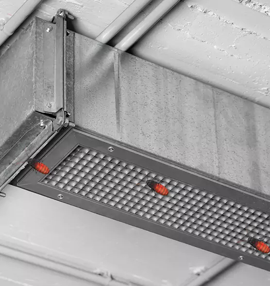 Affordable Insect Removal from Air Ducts in Neenah, WI