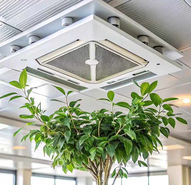 Why Homeowners & Businesses Trust Us in Neenah, WI?